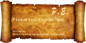 Pintarics Erzsébet névjegykártya